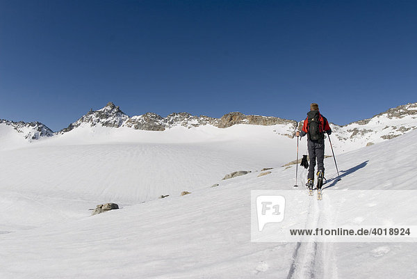 Ski tour in Rauris  Hohe Tauern National Park  Salzburg  Austria  Europe