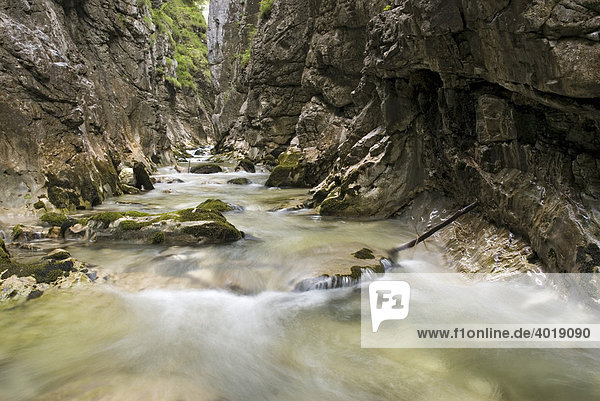 Haselschlucht  Nationalpark Kalkalpen  Oberösterreich  Österreich  Europa