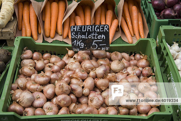Zwiebeln  Naschmarkt  Wien  Österreich  Europa