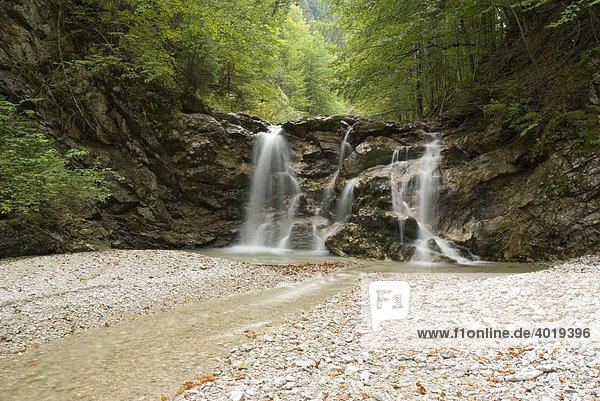 Herbstlicher Wasserfall  Nationalpark Kalkalpen  Oberösterreich  Österreich  Europa