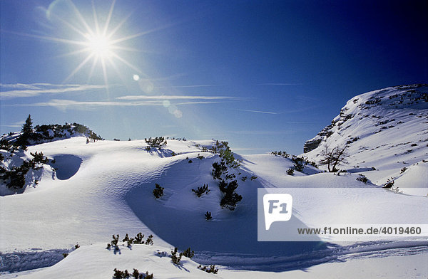 Verschneite Landschaft mit Sonne  Spital am Phyrn  Oberösterreich  Österreich  Europa