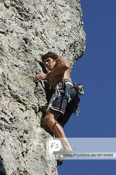 Man participating in sport climbing  Laussa  Upper Austria  Austria  Europe