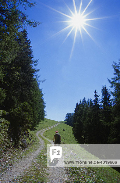 Mountainbiken,  Blahberg,  Nationalpark Kalkalpen,  Oberösterreich,  Österreich,  Europa