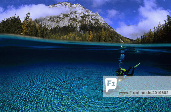 Scuba diver diving in Lake Gruenen See  Styria  Austria  Europe
