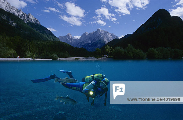Scuba diver diving in a mountain lake  Styria  Austria  Europe