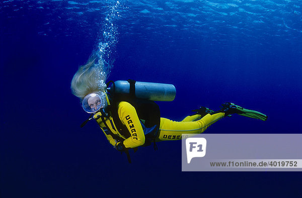Blonde woman wearing a yellow wet suit scuba diving in the blue sea  Red Sea  Egypt