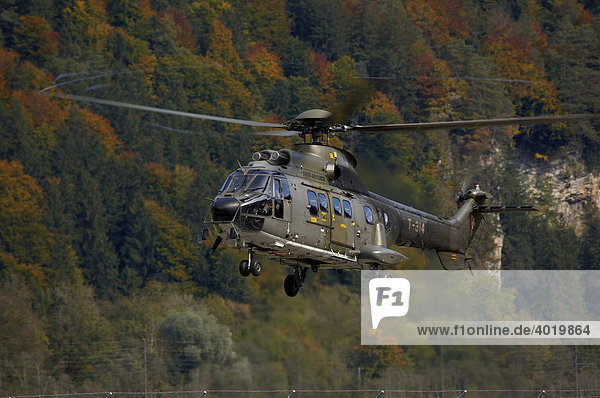 Super Puma AS332 of the Swiss air force