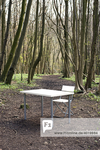 Contemporary office furniture outside in a woodland setting