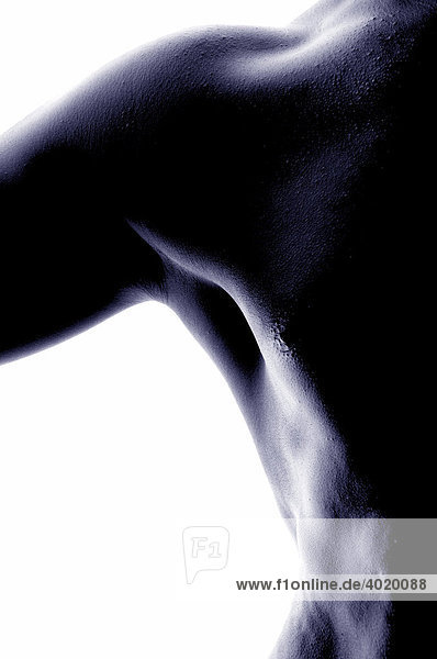 Silhouette of the muscular upper torso of a naked man