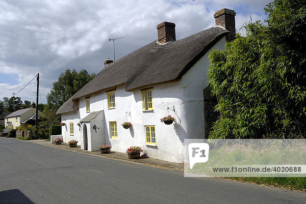 Traditional thatched house  southern England  Great Britain  Europe