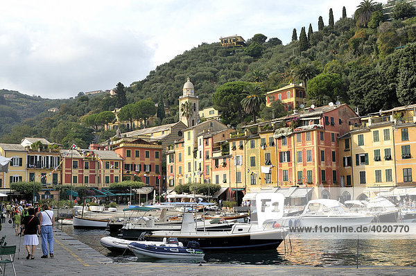 View of Portofino and its natural harbour  Riviera di Levante  Italy  Europe