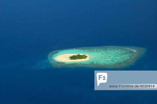 Maledivisches Atoll  Malediven  Indischer Ozean