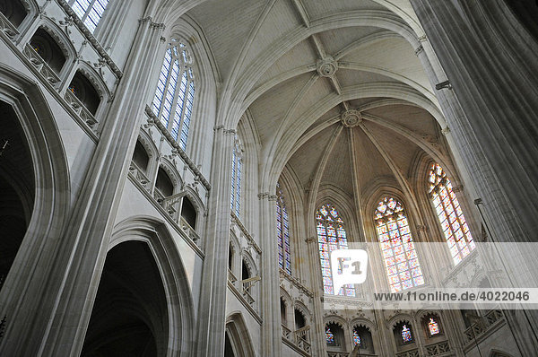 Deckengewölbe  Kathedrale Saint Pierre und Saint Paul  Nantes  Pays de la Loire  Frankreich  Europa