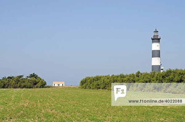 Haus  Leuchtturm  Landschaft  Insel Ile d'Oleron  Poitou Charentes  Frankreich  Europa