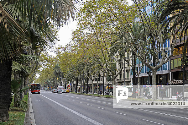 Avinguda Diagonal  Avenida  breite Straße  Hauptstraße  Palmen  Bäume  Barcelona  Katalonien  Spanien  Europa