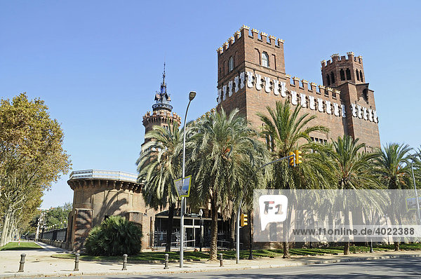 Museu de Zoologia  Castell dels Tres Dragons  Burg der drei Drachen  zoologisches Museum  Parc de la Ciutadella  Palmen  Barcelona  Katalonien  Spanien  Europa