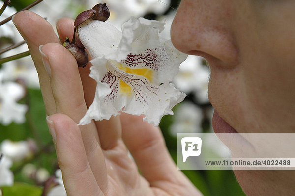 Frau riecht an Blüte