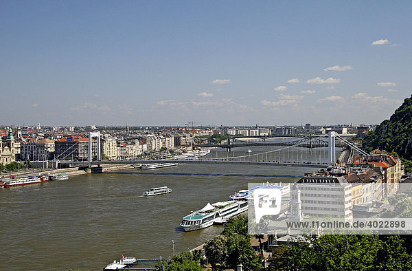 Donaubrücken  Elisabeth Brücke  Freiheitsbrücke  Petöfi Brücke  Budapest  Ungarn  Europa