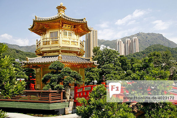 Pagode in Chi Lin Botanical Garden  Park in Kowloon  Hong Kong  China  Asien