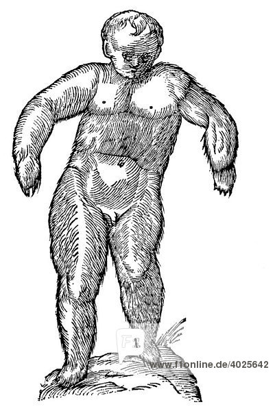 Holzschnitt  Puer villosus instar ursi  Junge mit dem Körper eines Bären  Aldrovandi  Historia Monstrorum  1642  Renaissance