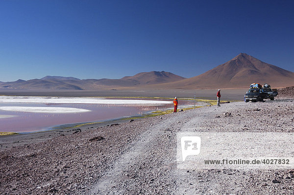 Laguna Colorada  Altiplano  Bolivia  South America