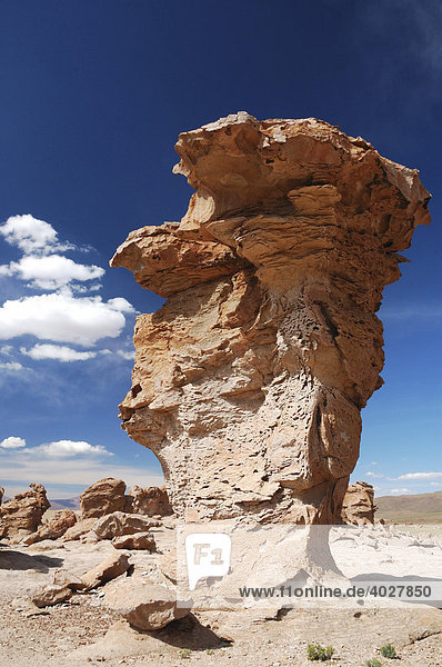 Formation aus Stein  Altiplano  Bolivien  Südamerika