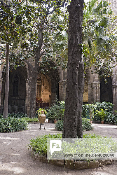 Garten im Kreuzgang der Kathedrale  Catedral  im gotischen Viertel Barri Gòtic  Barcelona  Spanien  Europa