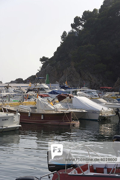 Boote  Hafen  Cala Canyelles  Lloret de Mar  Costa Brava  Katalonien  Spanien  Europa