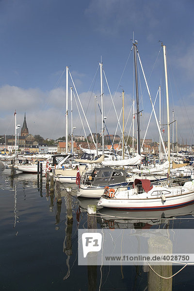 Museumshafen ist mit Traditionsseglern zur Rumregatta 2008 voll belegt  Flensburg  Schleswig-Holstein  Deutschland  Europa
