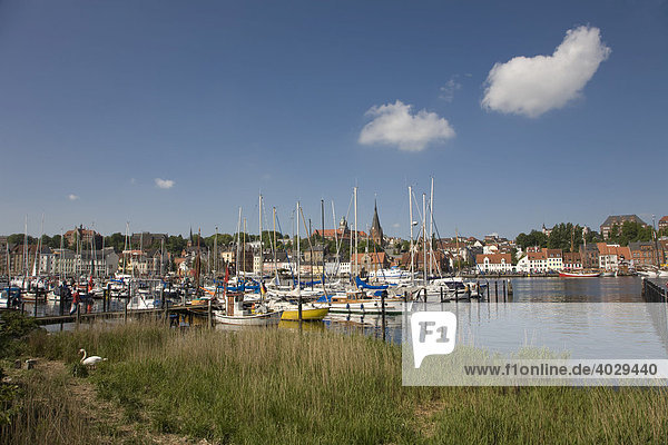 Segelboote im Fischereihafen von Flensburg  Schleswig-Holstein  Deutschland  Europa