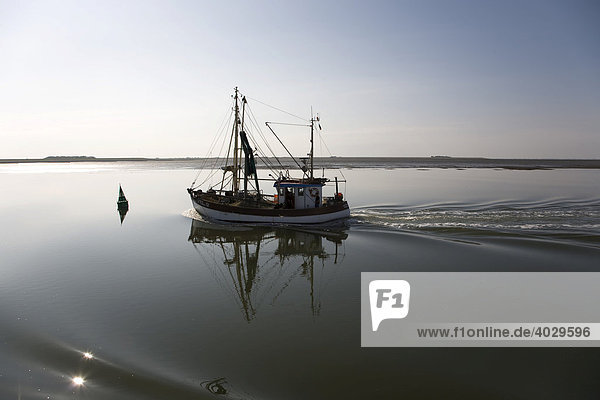 Krabbenkutter in ruhiger See  Nordsee  Schleswig-Holstein  Deutschland  Europa