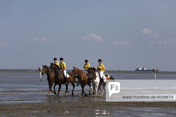 Equestrians on the North Sea mudflats near Cuxhaven-Duhnen  Lower Saxony  North Germany  Europe