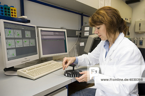 Hematology department laboratory technician analyzing leukocyte surface characteristics using a computer