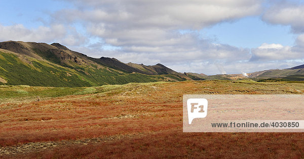 Farbig bewachsene Lavafelder im Vulkangebiet der Krafla  Island  Europa