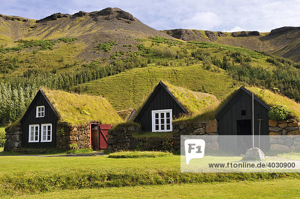 The open air and local history museum in Skógar  Byggðasafnið í Skógum  Iceland  Europe