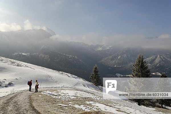 Am Farrenpoint bei Bad Feilnbach in Wolken der Wendelstein Oberbayern Bayern Deutschland Europa