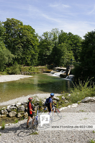 Cyclists at the Traun River near Siegsdorf  Chiemgau  Upper Bavaria  Germany  Europe