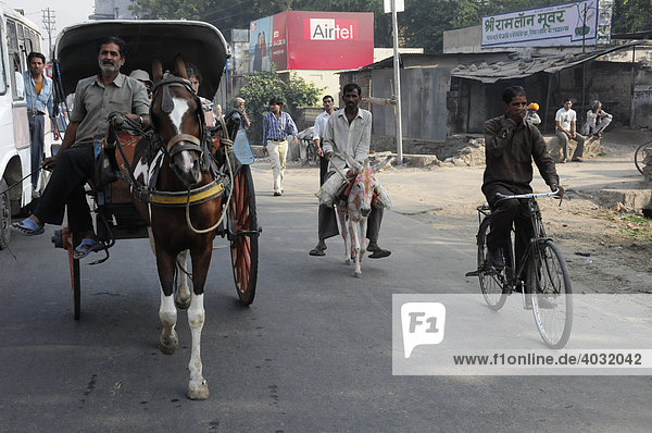 Traffic  road in Pushkar  Rajasthan  North India  Asia