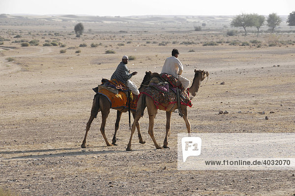 Camel riders  near Jaisalmer  Rajasthan  North India  Asia