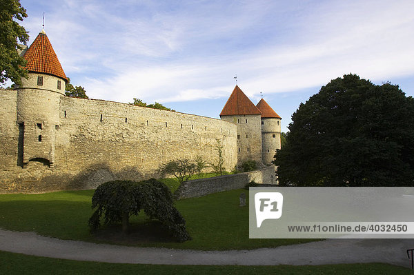 Town wall with watch towers around Tallinn  Estonia  Baltic States  Northern Europe
