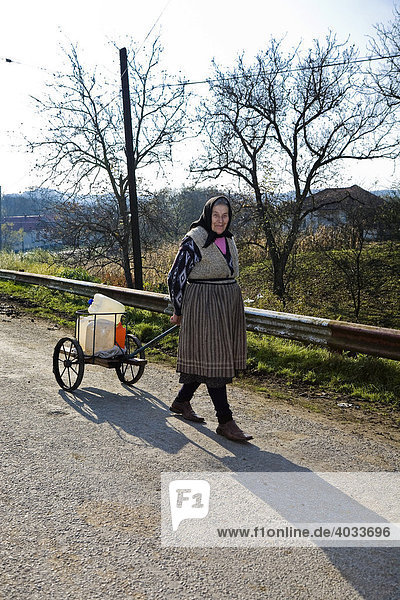 Romanian woman pulling water canisters on a cart  Cernuc  Salaj  Transylvania  Romania  Europe