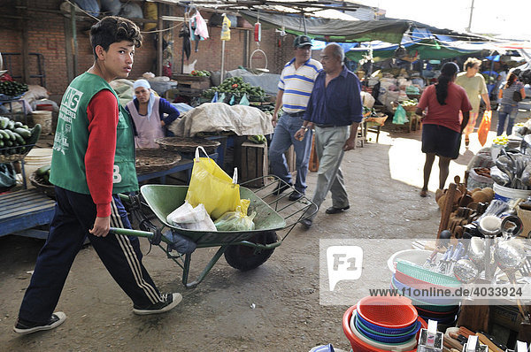 Child labour  boy transporting customers' purchases using a wheel barrow at the local market  Santa Cruz  Bolivia  South America