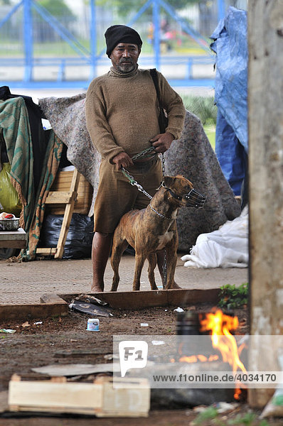 Alter Mann  obdachlos  schützt sein Hab und Gut mit einem Pit Bull Terrier  Stadtteil Bras  Sao Paulo  Brasilien  Südamerika