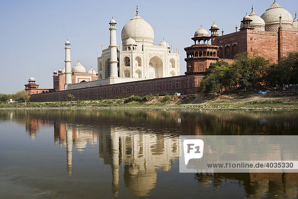 Taj Mahal reflecting in the Yamuna river  UNESCO World Heritage Site  Agra  Uttar Pradesh  India  South Asia