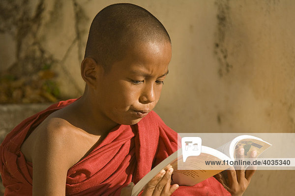Novice Buddhist monk reading a book  portrait  Bagan  Myanmar or Burma  South East Asia