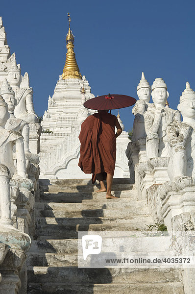 Settawya Pagoda  young Buddhist monk with a red umbrella  Mingun  Burma  Myanmar  South East Asia