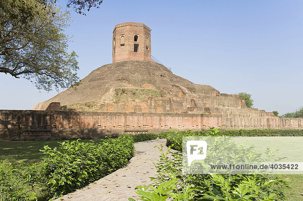 Chaukhandi Stupa  Isipatana Deer Park  Sarnath  Uttar Pradesh  India  South Asia