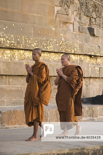 Praying Buddhist monks circling the Dhamekh stupa  Isipatana Deer Park  Sarnath  Uttar Pradesh  India  South Asia
