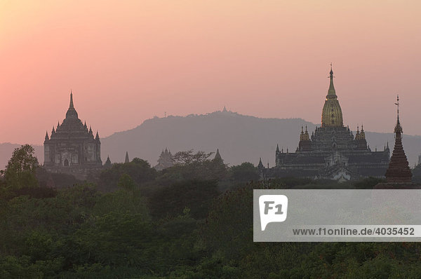Ananda and Thatbyinnyu Temple at sunset  Bagan  Burma  Myanmar  Southeast Asia