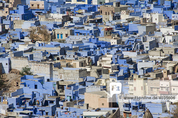 Blaue Häuser  Jodphur  Rajasthan  Indien  Südasien
